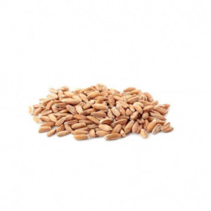 Farro decorticato bio 250 gr