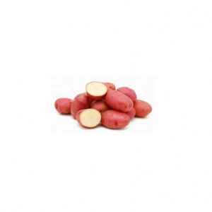 Patate rosse bio