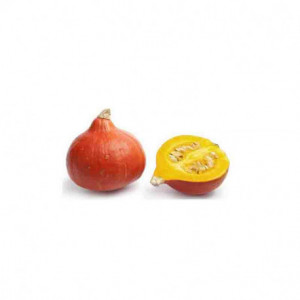 Zucca hokkaido bio 700 - 800 gr