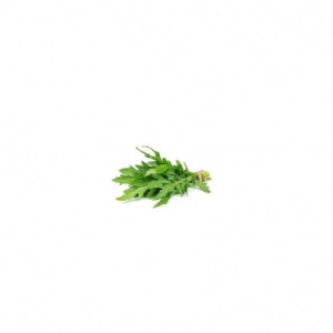 Rucola bio Demeter vaschetta (80gr)