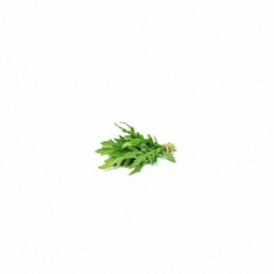 Rucola bio Demeter - Prodotto Locale